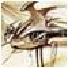 comments-user